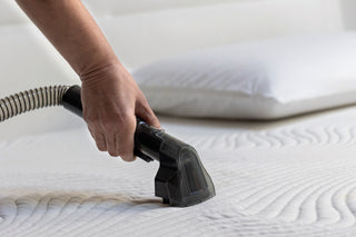 Spot Cleaner Heat Pro 750W