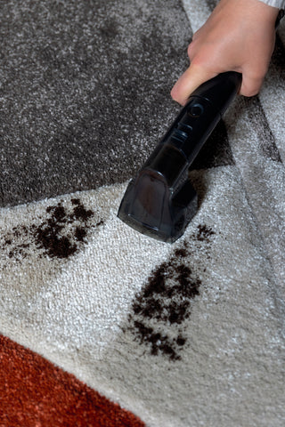 Spot Cleaner Heat Pro 750W